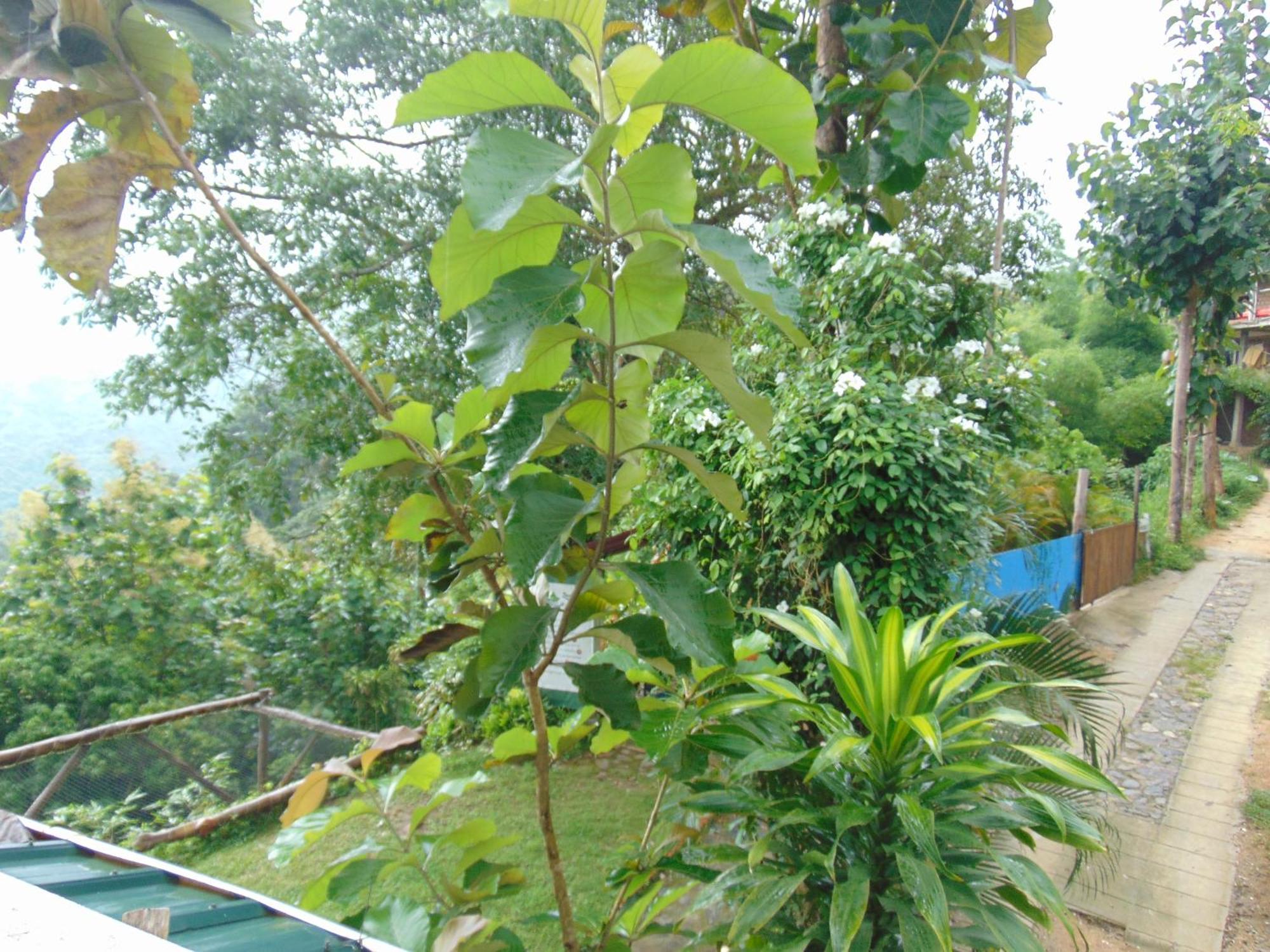 Dunarinka 米卡 外观 照片