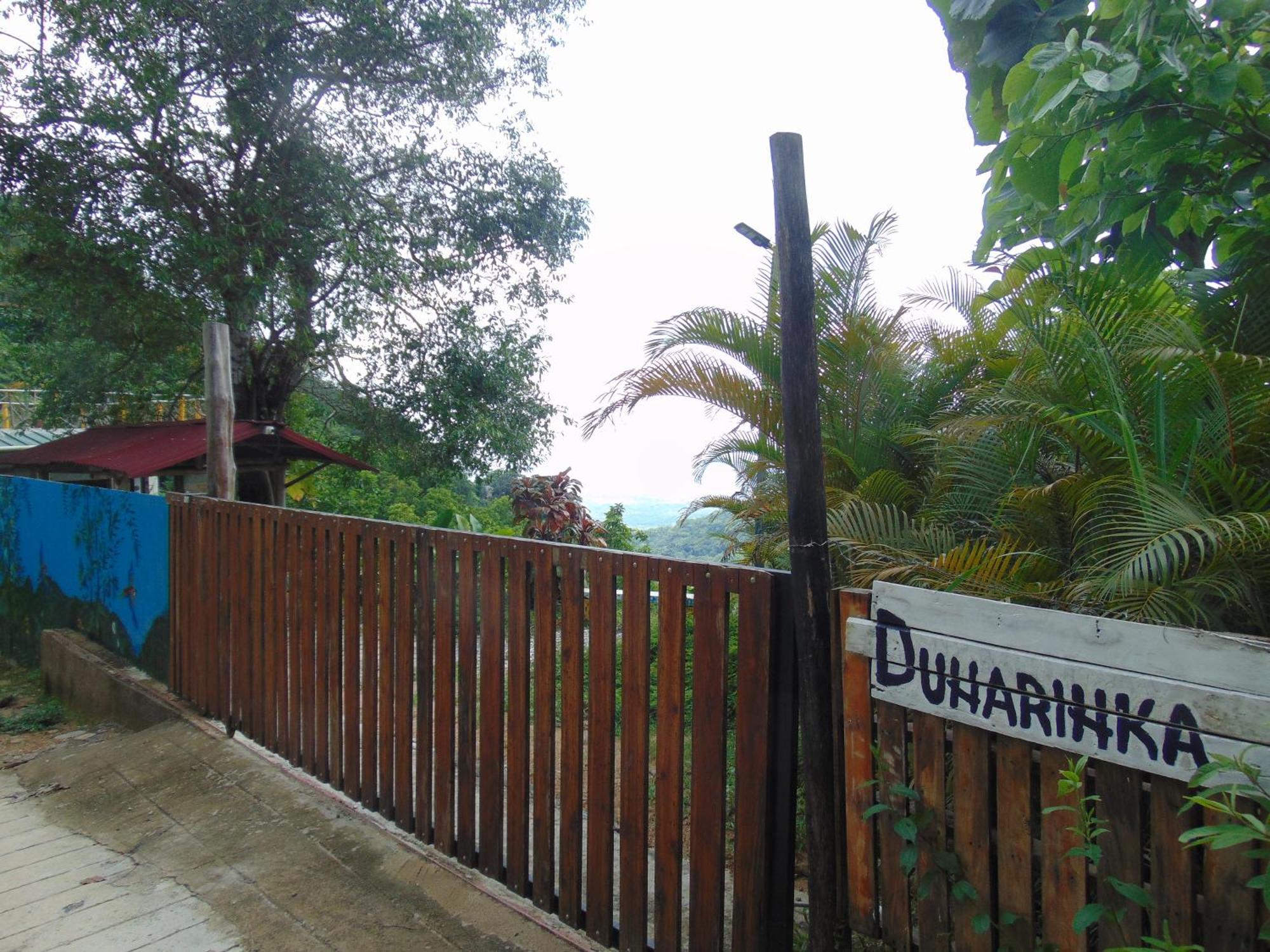 Dunarinka 米卡 外观 照片